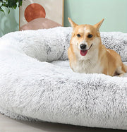 Cama enorme para Pets e seus donos