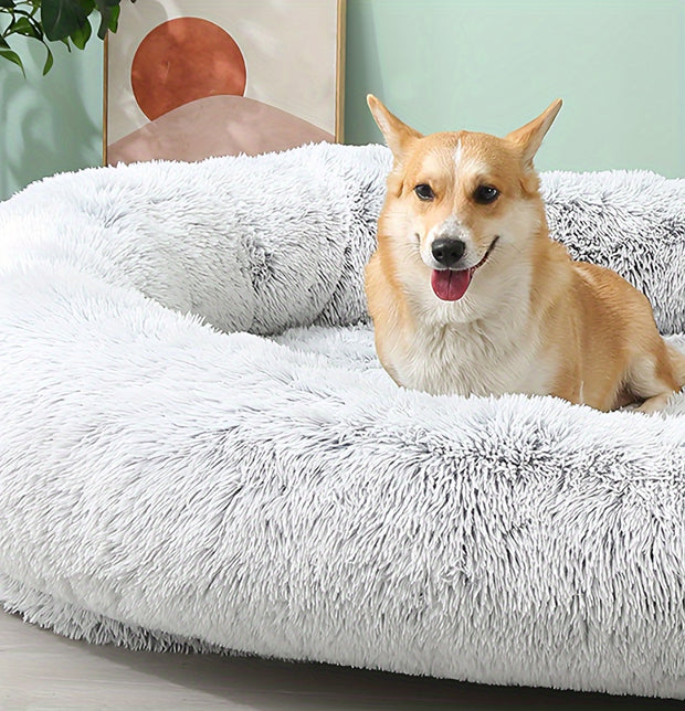 Cama enorme para Pets e seus donos