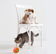 Bola inteligente para Pets