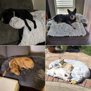 Cama Sofá para Cães