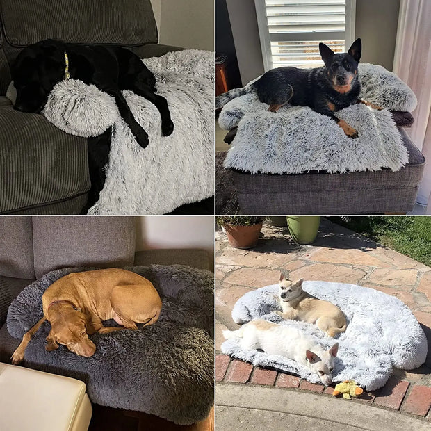 Cama Sofá para Cães