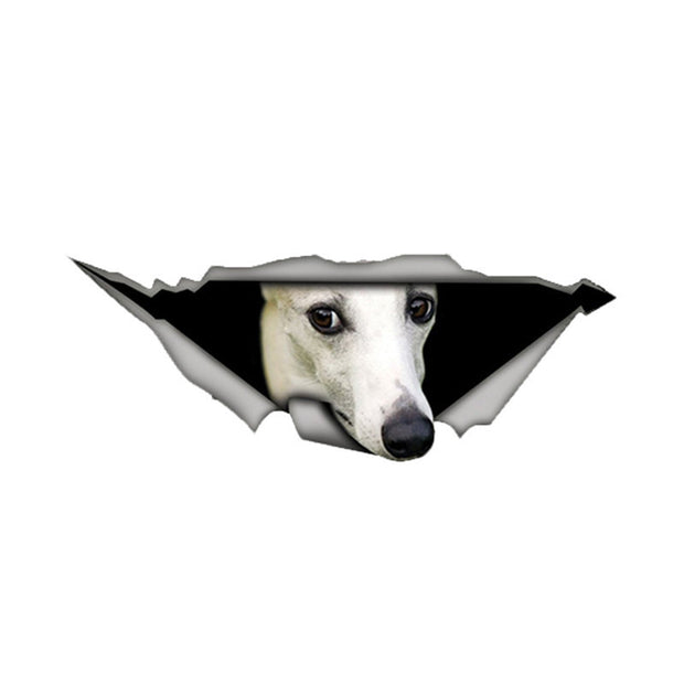 Adesivo de Dachshund para carros