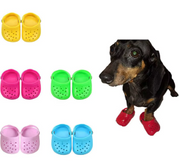 Sapato para Pets (Crocs)