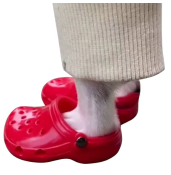Sapato para Pets (Crocs)