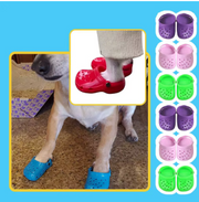 Sapato para Pets (Crocs)