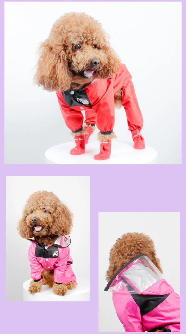 Capa de Chuva Fashion para Cães
