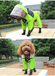 Capa de Chuva Fashion para Cães