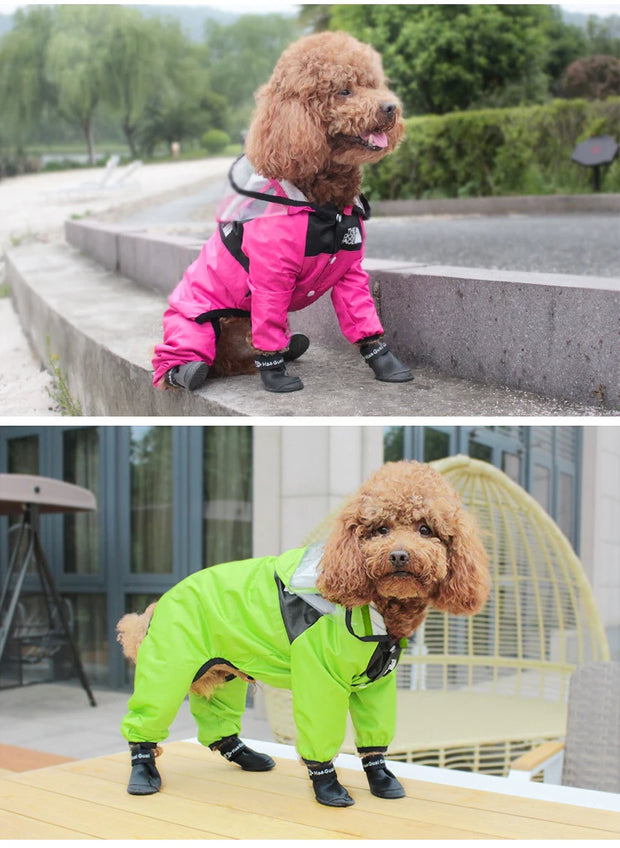 Capa de Chuva Fashion para Cães