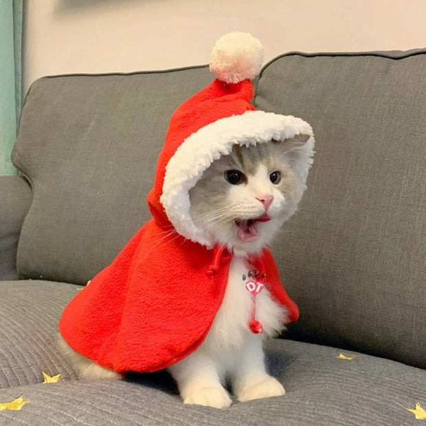 Capa de Natal para Pets