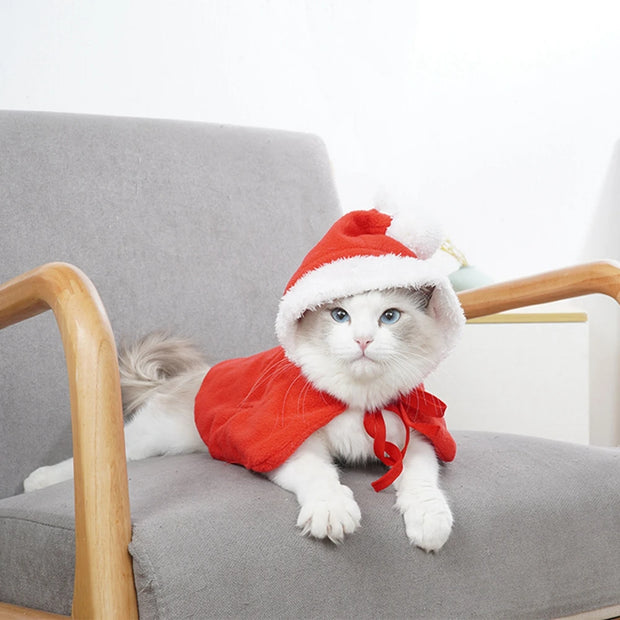 Capa de Natal para Pets