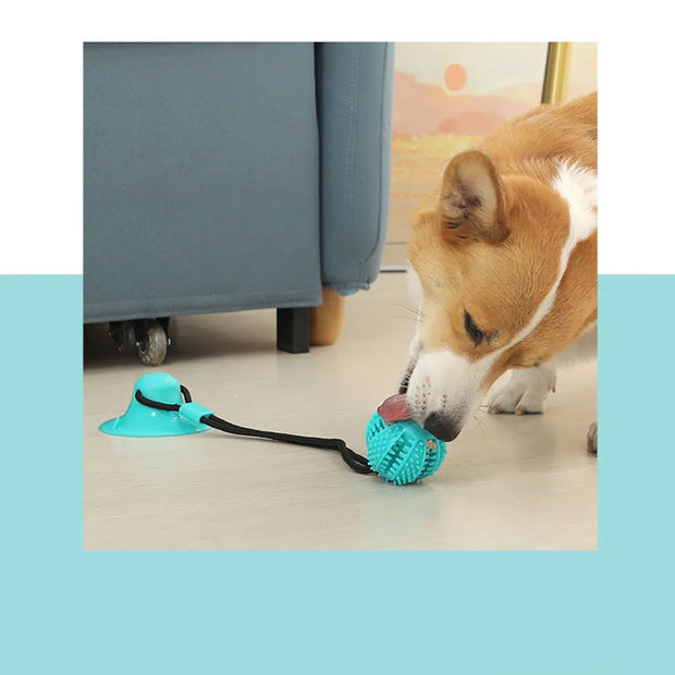 Brinquedo Interativo de Borracha para Cães