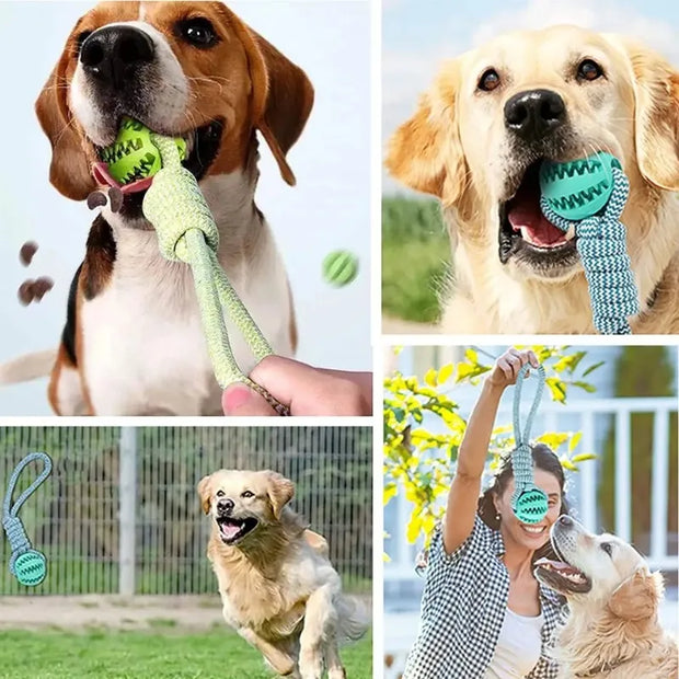 Bola Interativa para Cães
