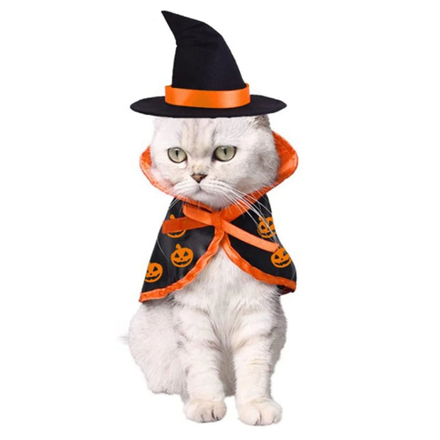 Fantasia de terror para Pets
