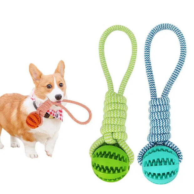 Bola Interativa para Cães