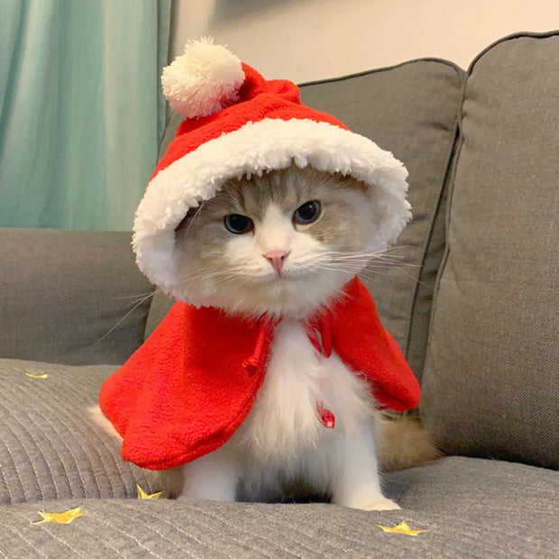 Capa de Natal para Pets