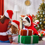 Roupa de Natal para cachorro