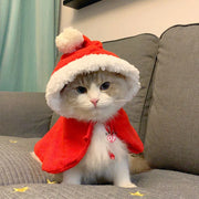 Capa de Natal para Pets