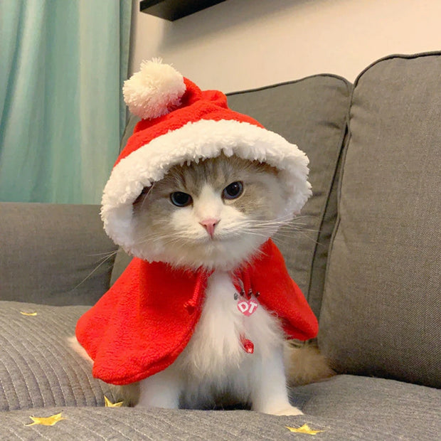 Capa de Natal para Pets