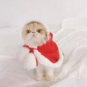 Capa de Natal para Pets