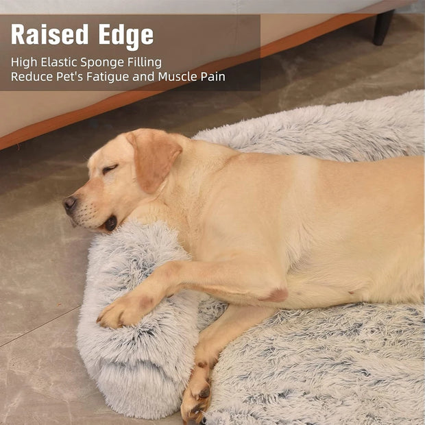 Cama Sofá para Cães