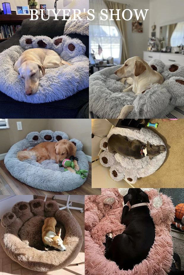 Cama Pata para Pets