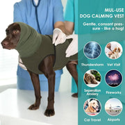 Colete antiansiedade para cães (Thundershirt)