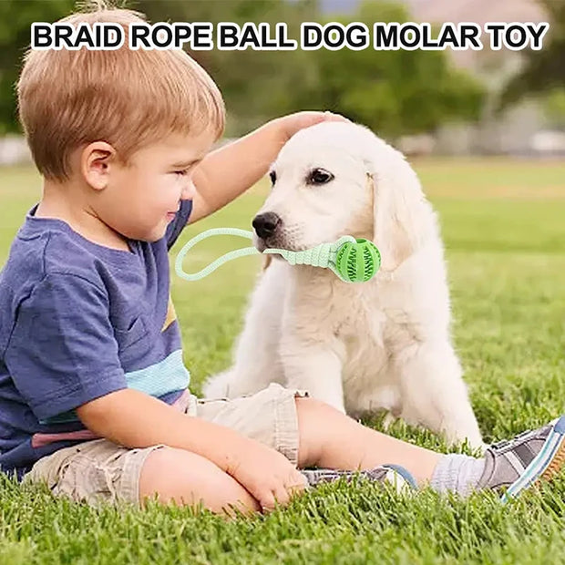Bola Interativa para Cães