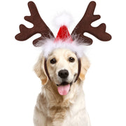 Tiara de Rena para Pets