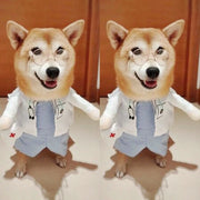 Roupas Engraçadas e Estilosas para o Seu Pet
