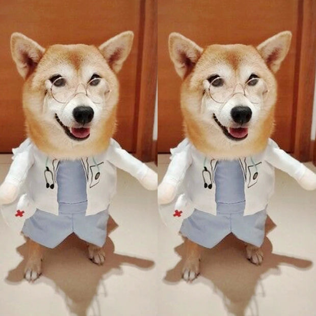 Roupas Engraçadas e Estilosas para o Seu Pet