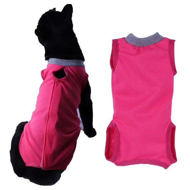 Roupa pós cirúrgica para gatos