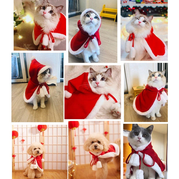 Capa de Natal para Pets