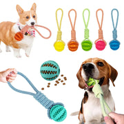 Bola Interativa para Cães