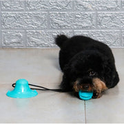 Brinquedo Interativo de Borracha para Cães