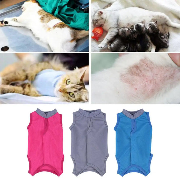Roupa pós cirúrgica para gatos