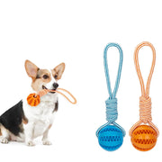 Bola Interativa para Cães