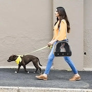 Bag transparente para transporte de Pequenos Animais