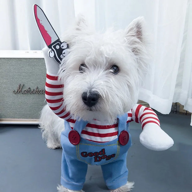 Roupas Engraçadas e Estilosas para o Seu Pet