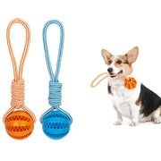 Bola Interativa para Cães