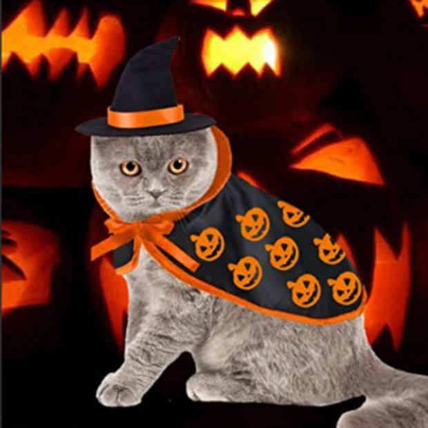 Fantasia de terror para Pets