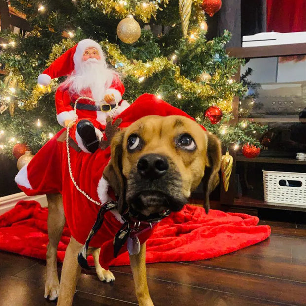 Roupa de Natal para cachorro