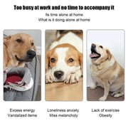 Lançador Automático de Bolas