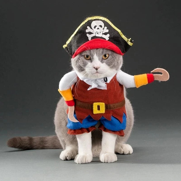 Roupas Engraçadas e Estilosas para o Seu Pet