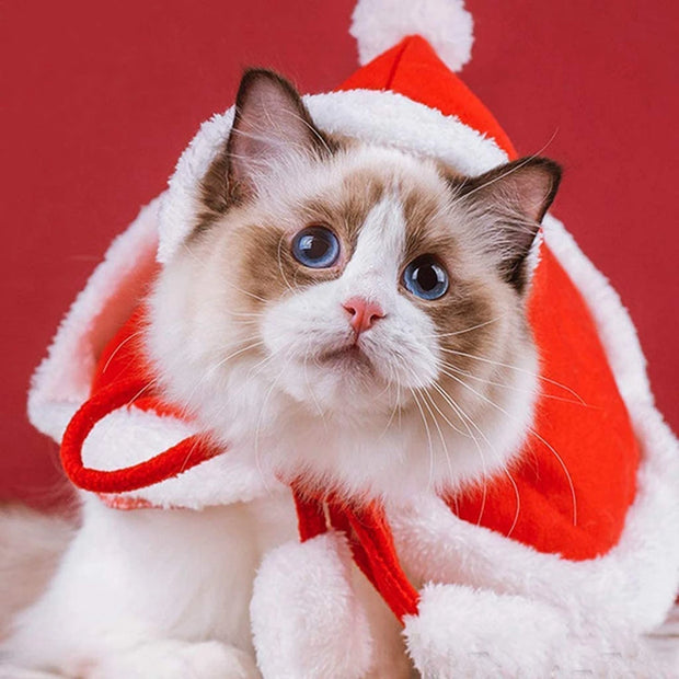 Capa de Natal para Pets