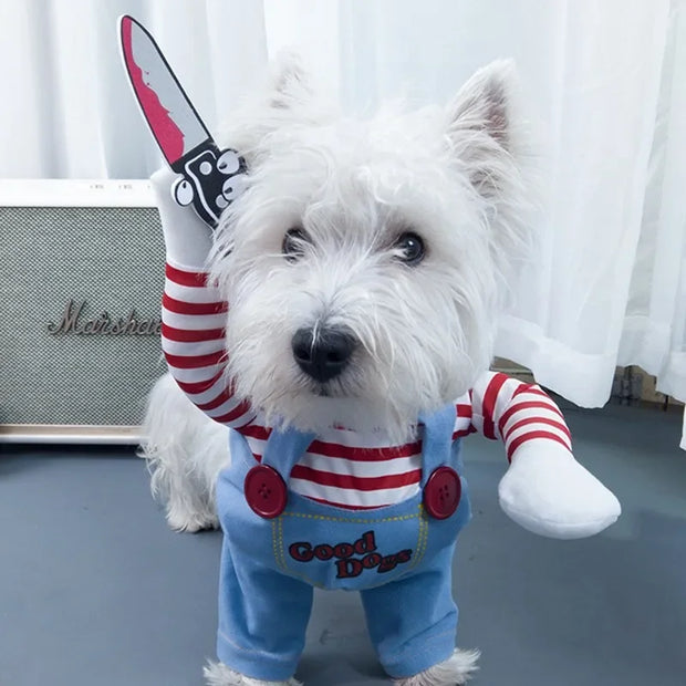Roupas Engraçadas e Estilosas para o Seu Pet