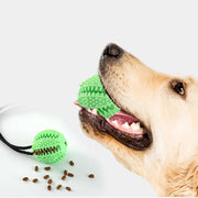 Brinquedo Interativo de Borracha para Cães