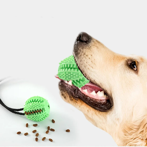 Brinquedo Interativo de Borracha para Cães