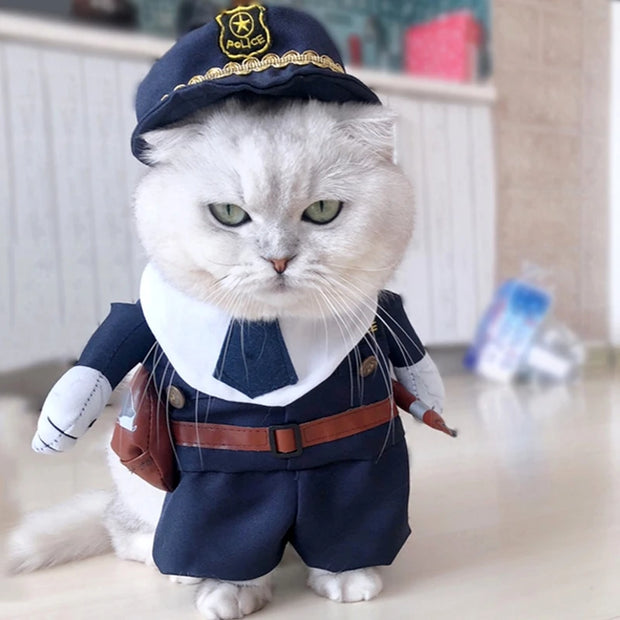 Roupas Engraçadas e Estilosas para o Seu Pet