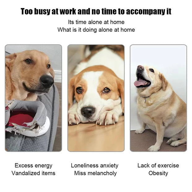 Lançador Automático de Bolas