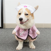 Roupas Engraçadas e Estilosas para o Seu Pet